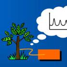 Plant Sensors 